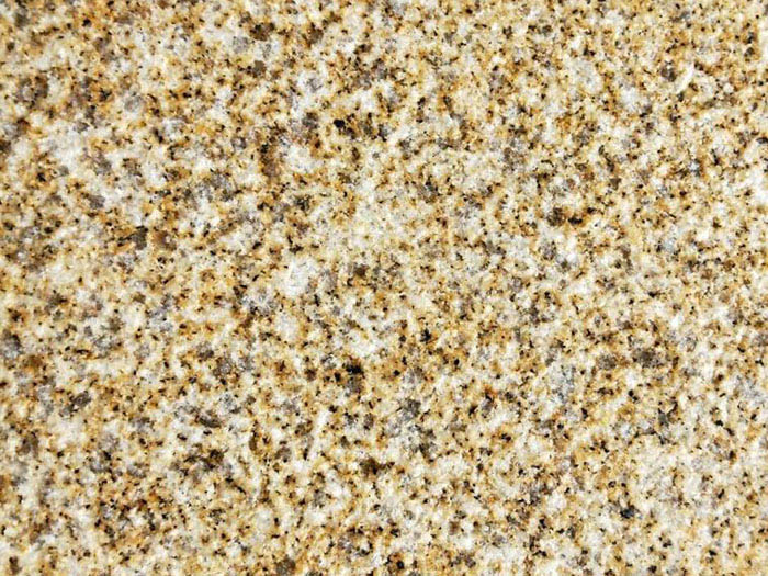 黃金麻大黃荔枝面